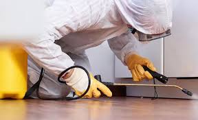 Best Termite Inspection and Treatment  in Morse, LA